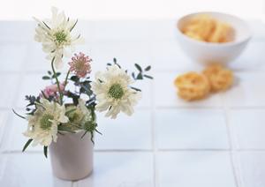 展示会ブースデザインを中心としたデザイン事務所です