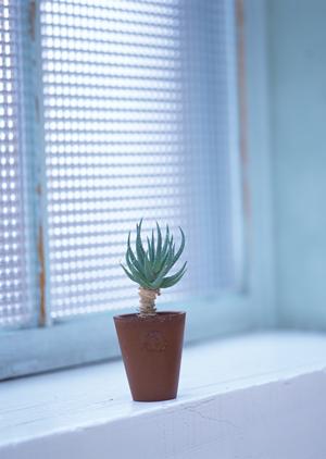 高級家具の買取は価値の分かる専門店で