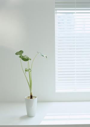 和風衝立や障子スクリーンが選べる