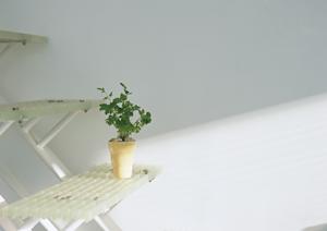 優れた特徴があるシーリングファン